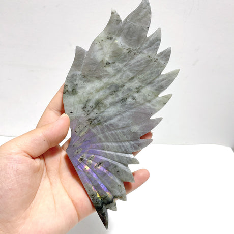 Labradorite Angel Wing Carving With Stand