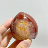 20 Pieces Petrified Wood Stone Arrow Head Shape