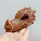 9 Pieces Carnelian Dragon Head Carving