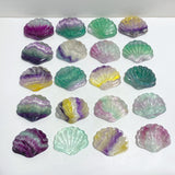 Rainbow Fluorite Shell Wholesale (No.1-20)