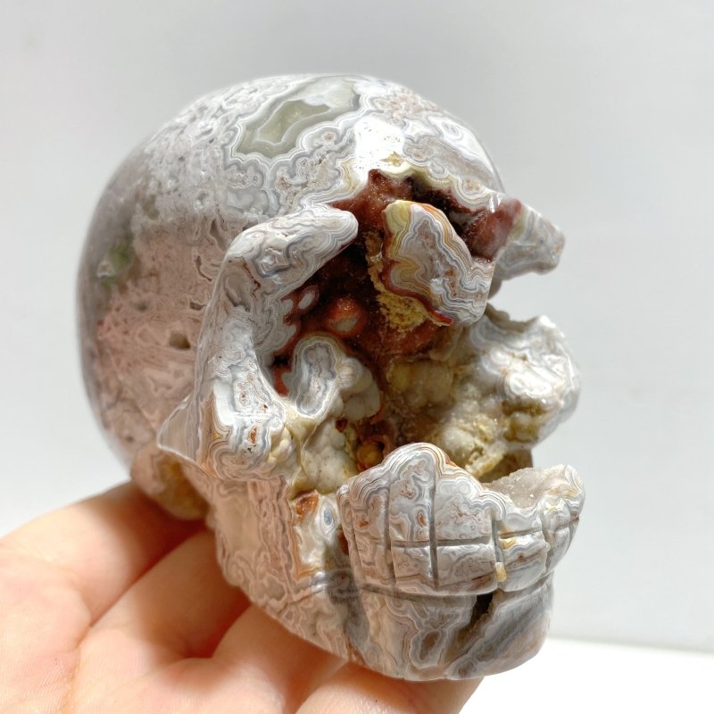 7 Pieces Geode Druzy Morocco Agate Skull Carving 3 - Wholesale Crystals