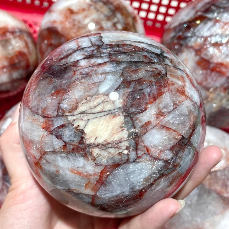 7 Pieces Large Fire Quartz Spheres 3.6 - 5.3in - Wholesale Crystals