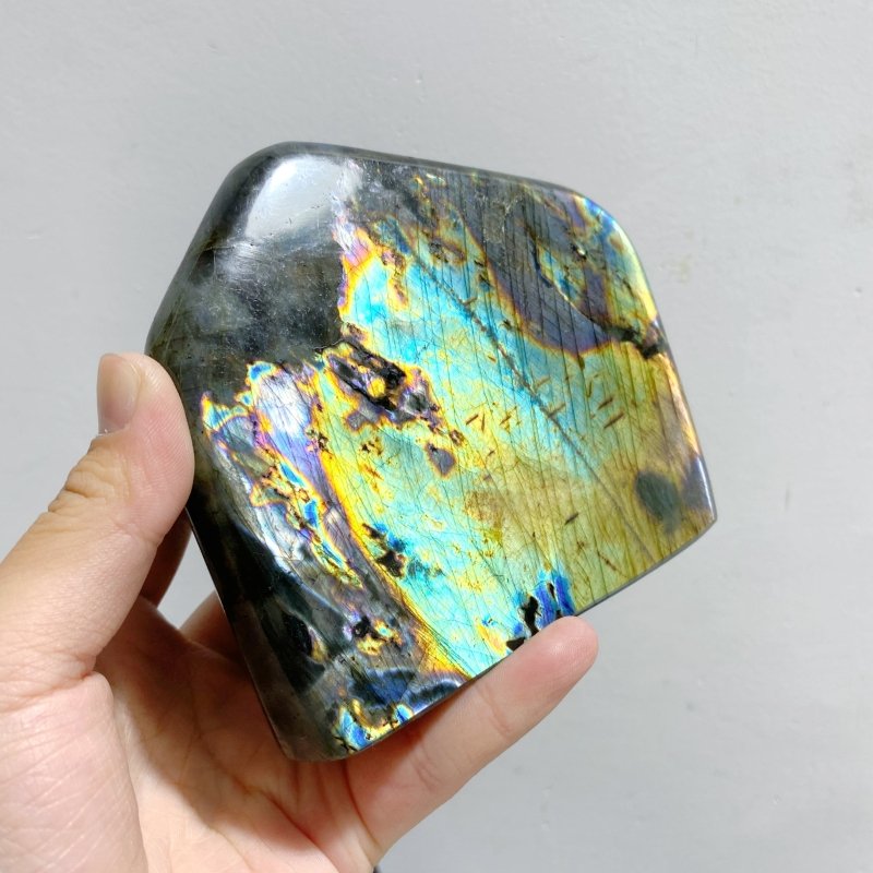 7 Pieces Large Labradorite Free Form -Wholesale Crystals