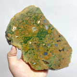 7 Pieces Peacock Eye Rain Forest Jasper Slab - Wholesale Crystals