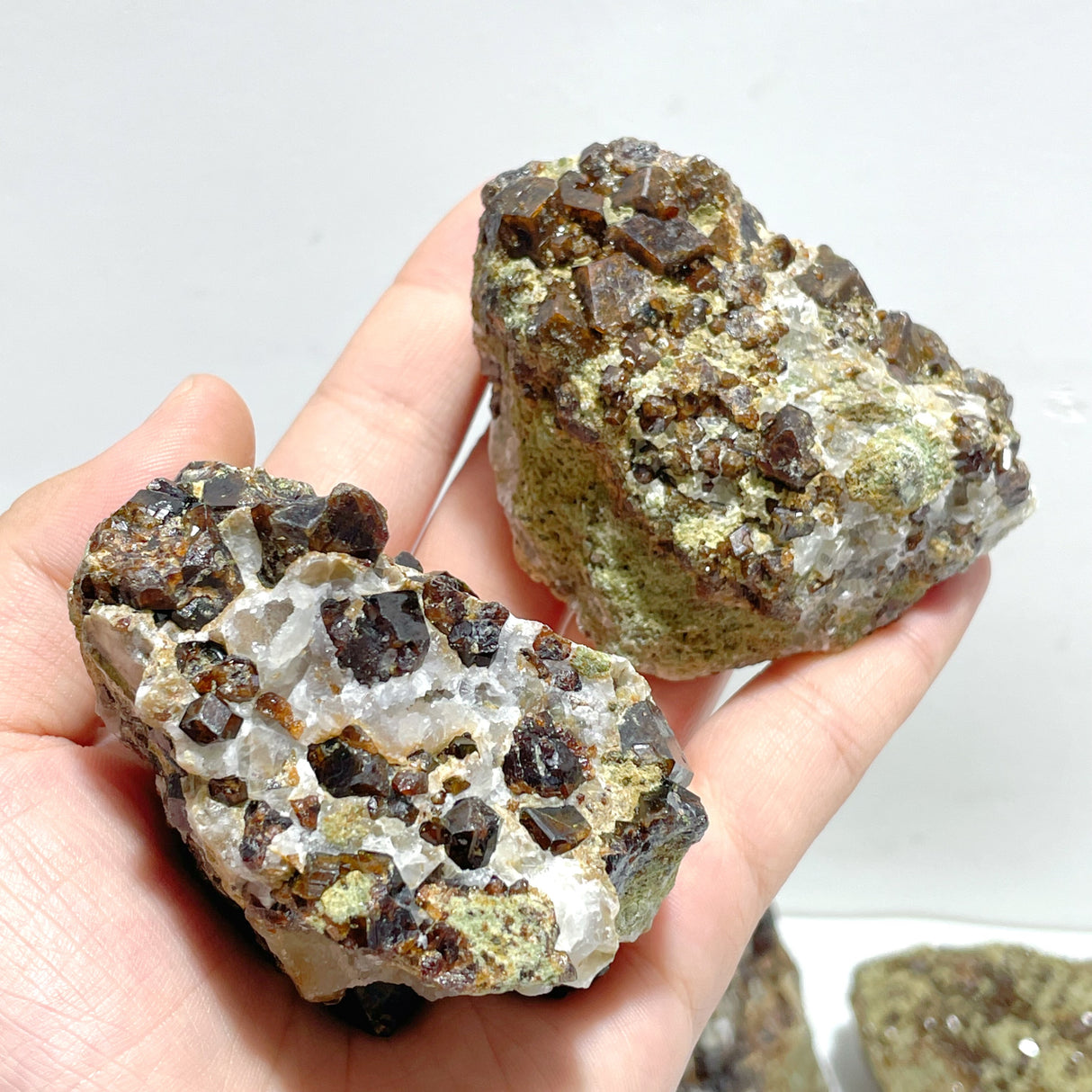 11 Pieces Raw Garnet Specimen For Collection