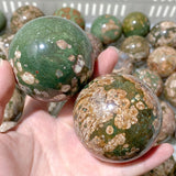 56 Pieces Rainforest Jasper Spheres (Sea Freight Only)