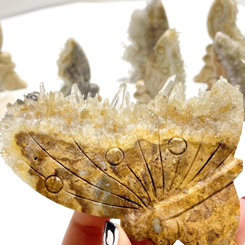 8 Pieces Clear Quartz Cluster Butterfly Fairy Carving - Wholesale Crystals