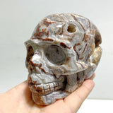 8 Pieces Geode Druzy Morocco Agate Skull Carving 1 - Wholesale Crystals