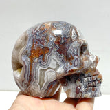 8 Pieces Geode Druzy Morocco Agate Skull Carving 2 - Wholesale Crystals