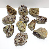 11 Pieces Raw Garnet Specimen For Collection