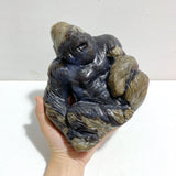Unique Volcano Agate King Kong Ape Carving #4