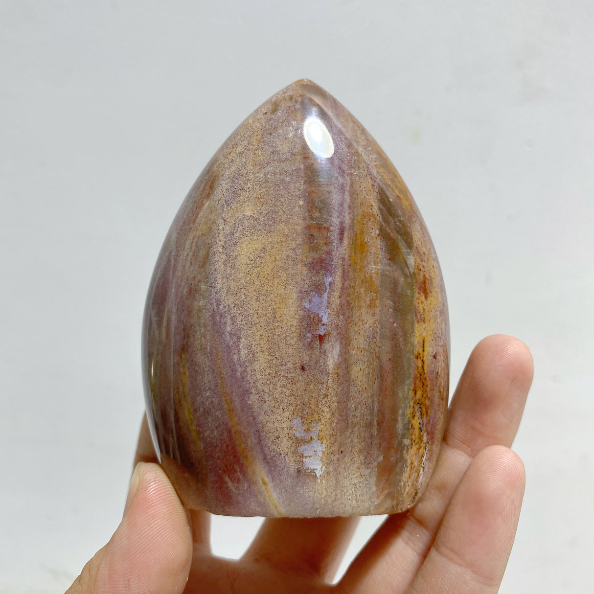 15 Pieces Petrified Wood Stone Arrow Head Shape