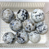 9 Pieces Large Moonstone Sphere Ball - Wholesale Crystals
