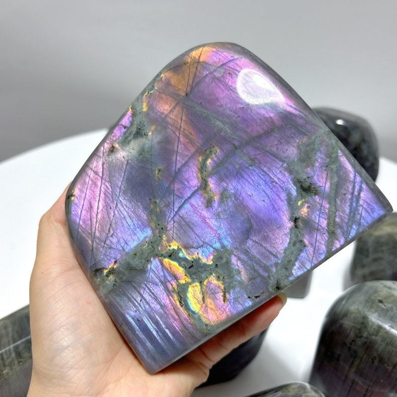 9 Pieces Large Purple Labradorite Free Form - Wholesale Crystals