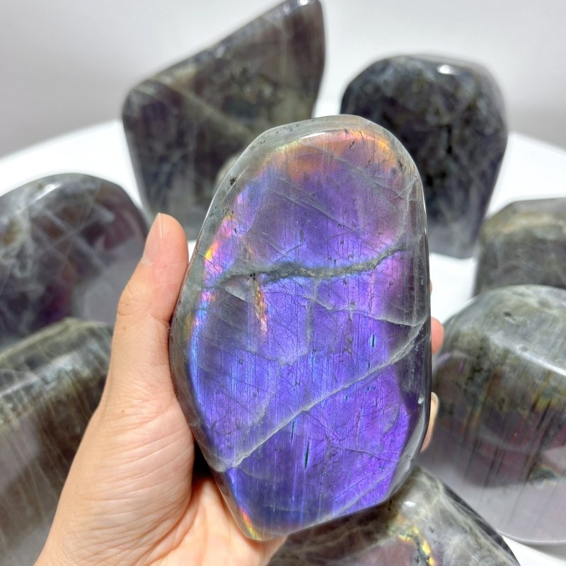 9 Pieces Large Purple Labradorite Free Form - Wholesale Crystals