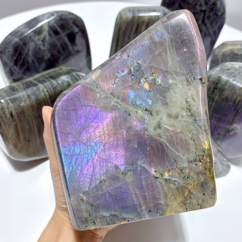 9 Pieces Large Purple Labradorite Free Form - Wholesale Crystals