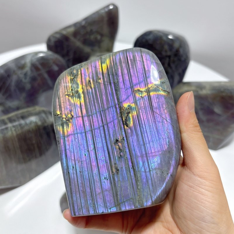 9 Pieces Large Purple Labradorite Free Form - Wholesale Crystals