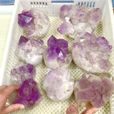 9 Pieces Raw Amethyst Cluster Polished Bottom Egg Shape (Sea Freight Only) -Wholesale Crystals