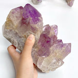 9 Pieces Raw Amethyst Cluster Polished Point (Sea Freight Only) -Wholesale Crystals