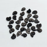 Mini Silver Sheen Obsidian Conch Carving Wholesale
