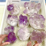 9 Pieces Raw Amethyst Cluster Polished Bottom Egg Shape (Sea Freight Only)