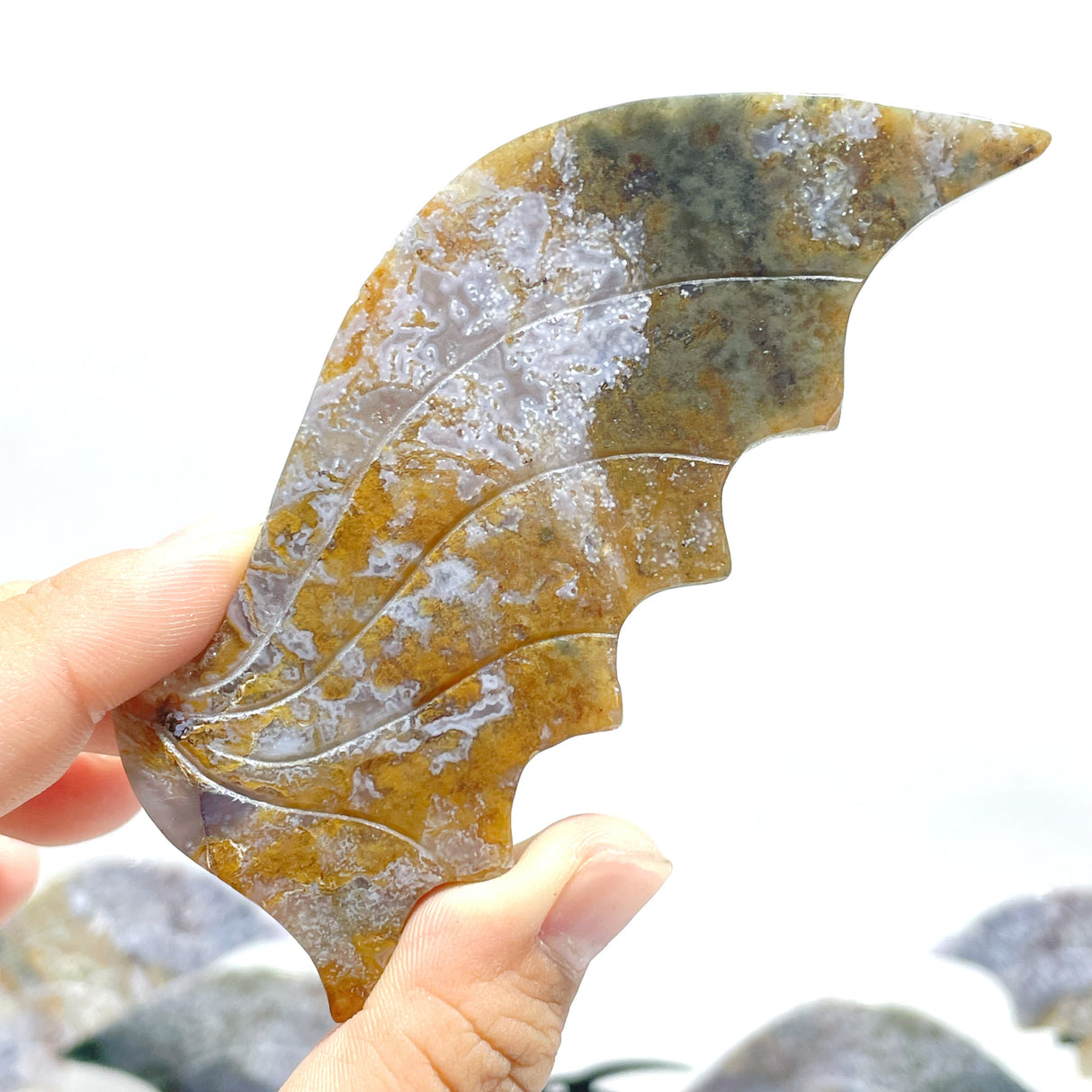 6 Pairs Ocean Jasper Flying Dragon Wing With Stand