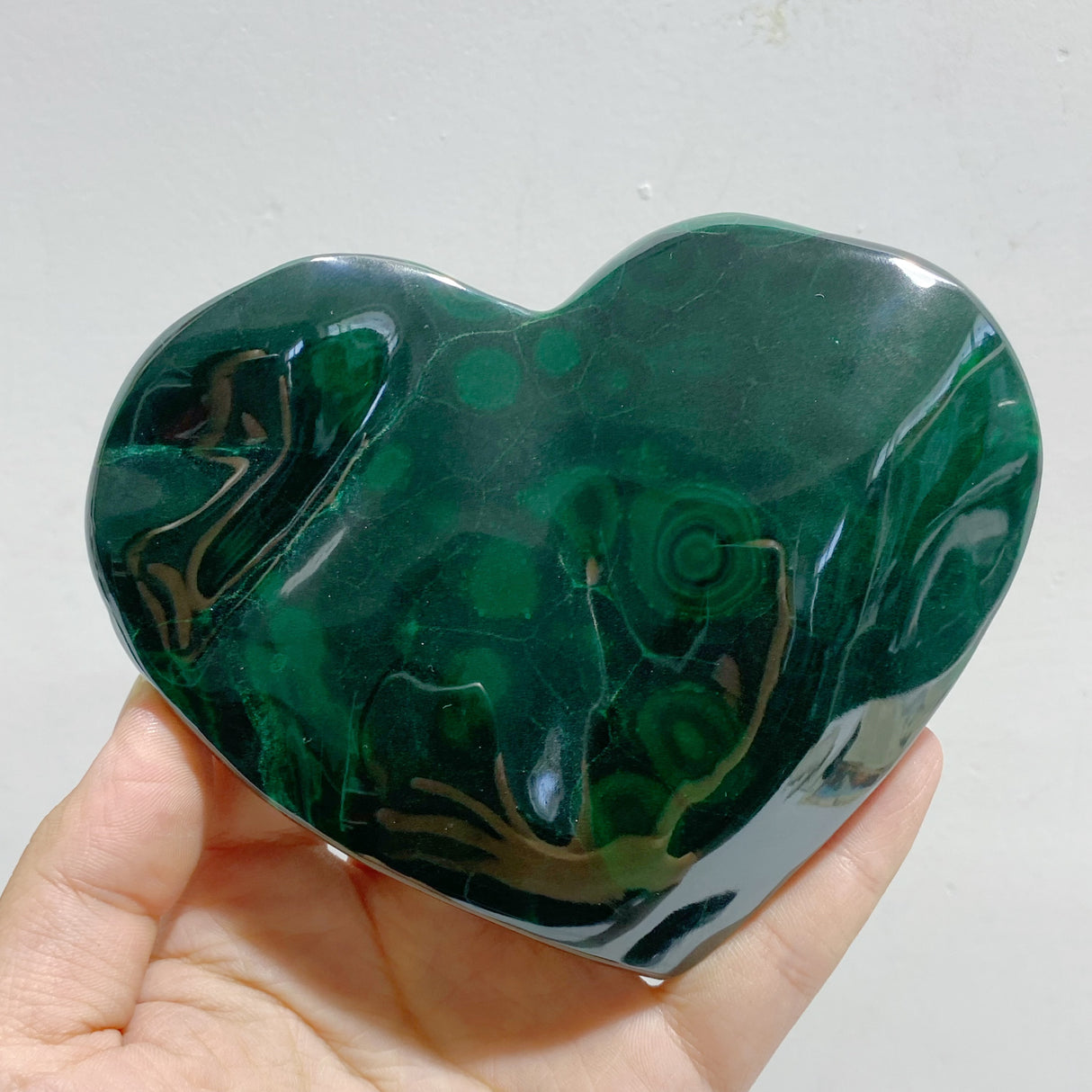 6 Pieces Large Malachite Heart Raw Bottom