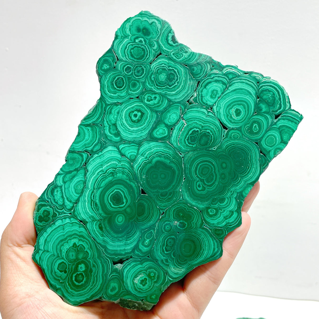 6 Pieces High Quality Beautiful Malachite Slab