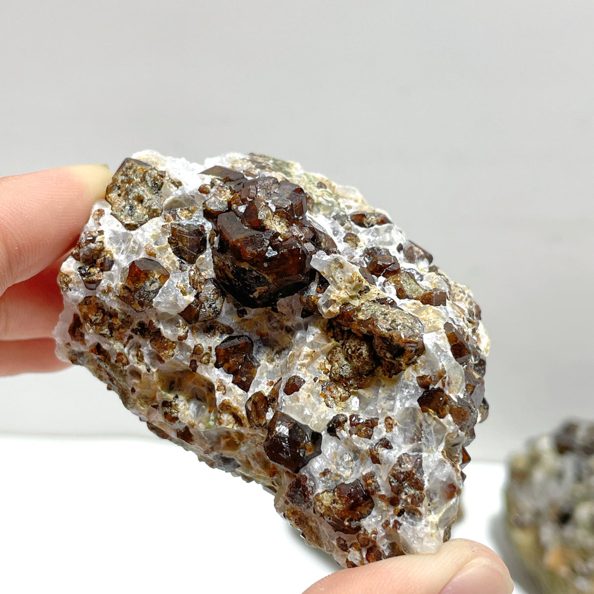 11 Pieces Raw Garnet Specimen For Collection