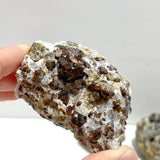 11 Pieces Raw Garnet Specimen For Collection