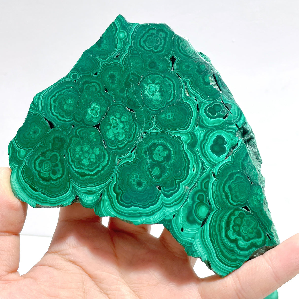 6 Pieces High Quality Beautiful Malachite Slab