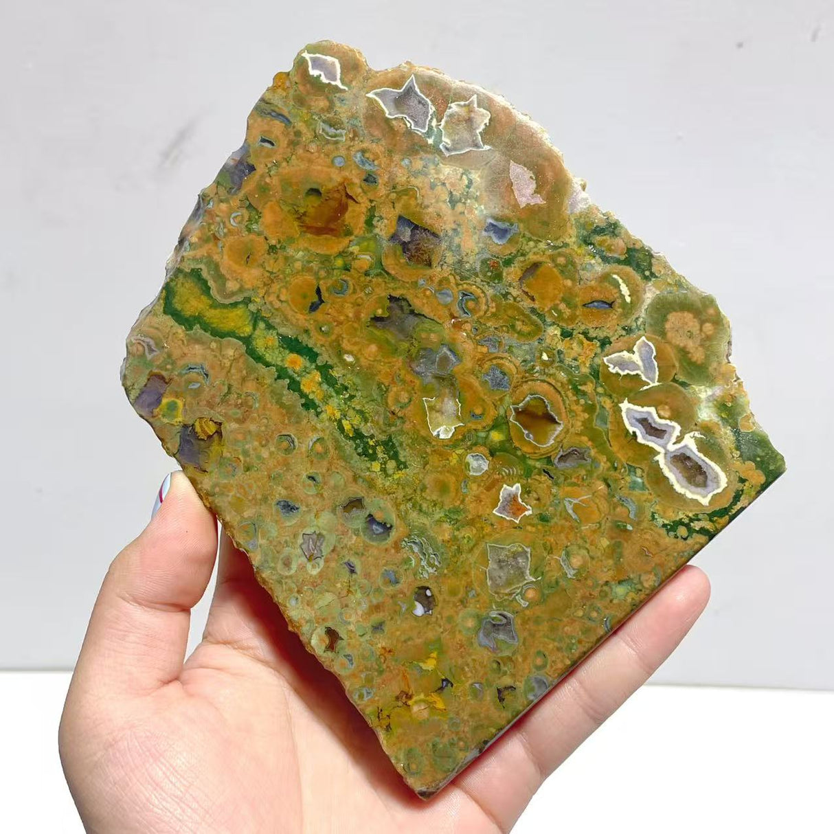 11 Pieces Peacock Eye Rain Forest Jasper Slab