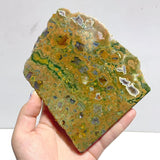11 Pieces Peacock Eye Rain Forest Jasper Slab