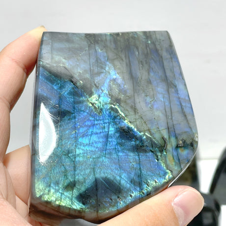 19 Pieces High Quality Polished Labradorite Free Form
