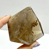 7 Pieces High Quality Golden Rutile Quartz Free Form Home Decor