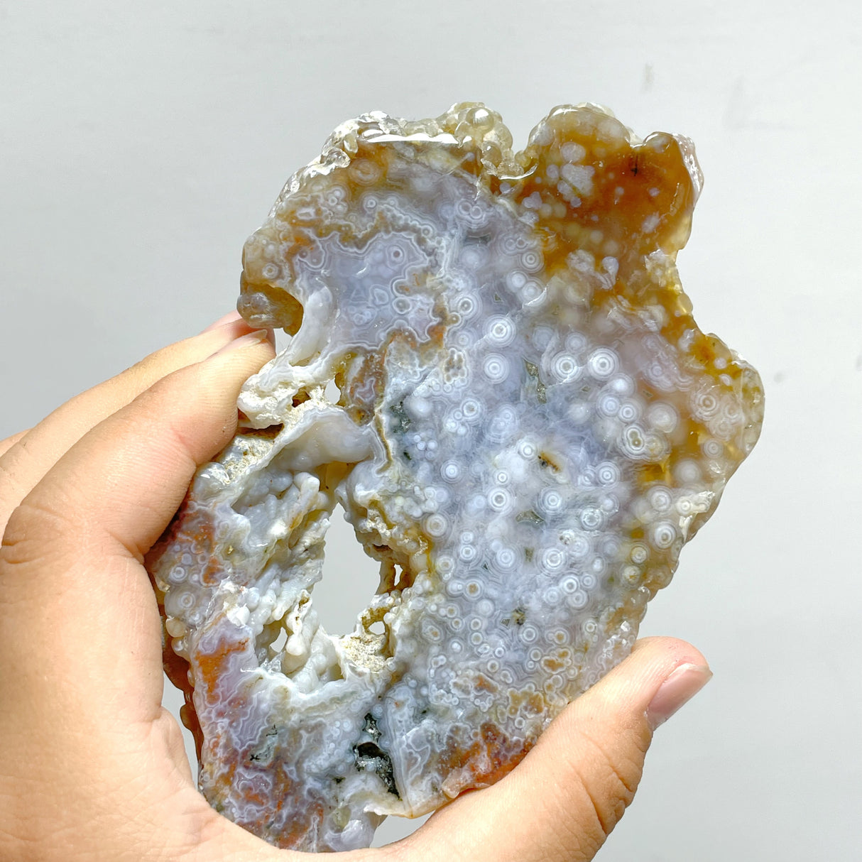 11 Pieces 6th Vein Ocean Jasper Slab