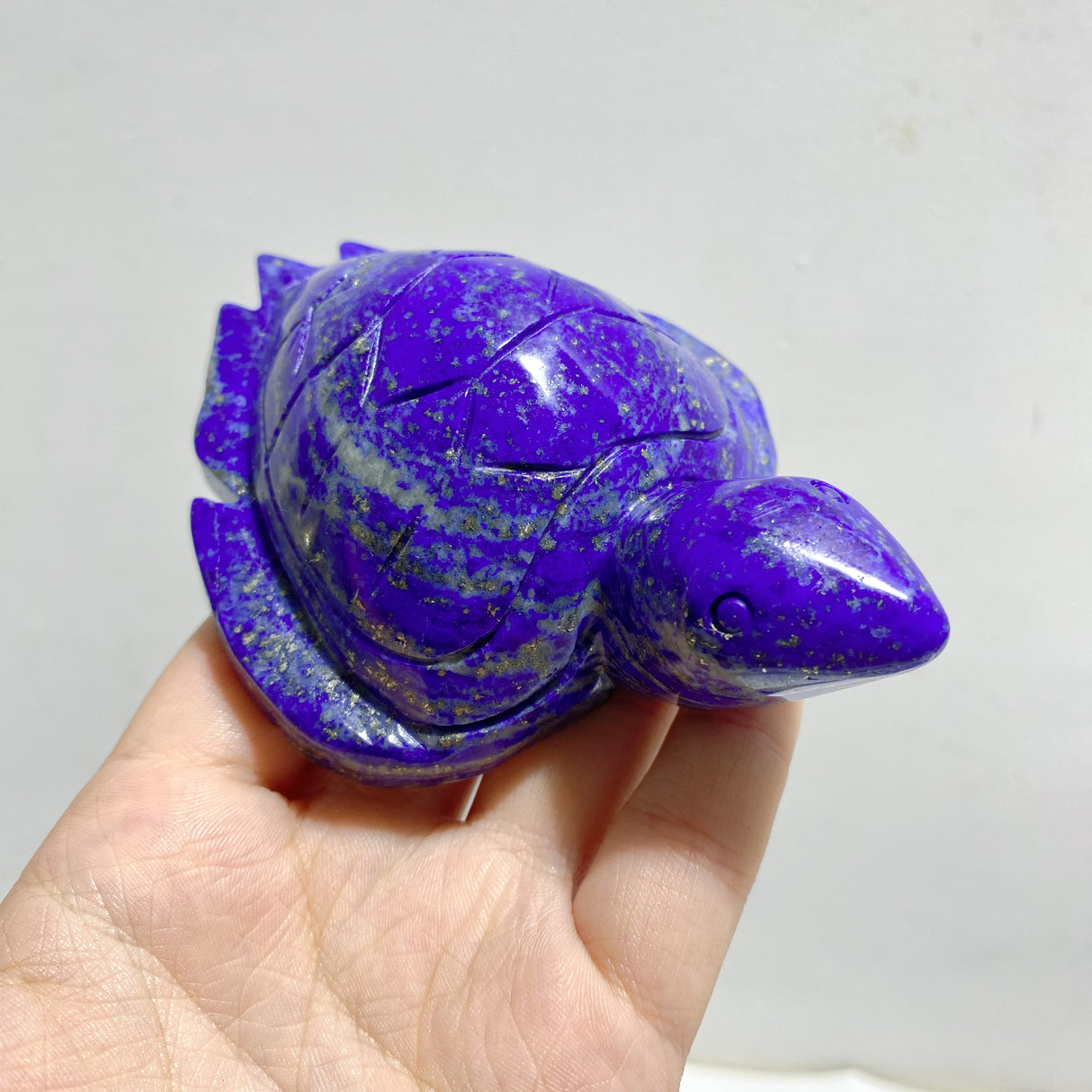 10 Pieces Lapis Lazuli Sea Turtles Carving