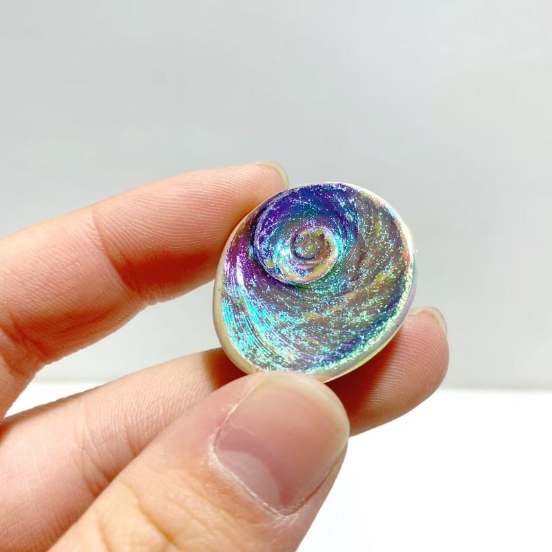 Aura Shell Fossil Wholesale - Wholesale Crystals