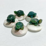 5 Types Mini Turtle On The Shell Fossil Wholesale Moss Agate Tiger Eye