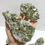 8 Pieces Pyrite Mixed Clear Quartz Cluster Specimen For Collection