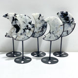 5 Pieces India Moonstone Moon Carving With Stand