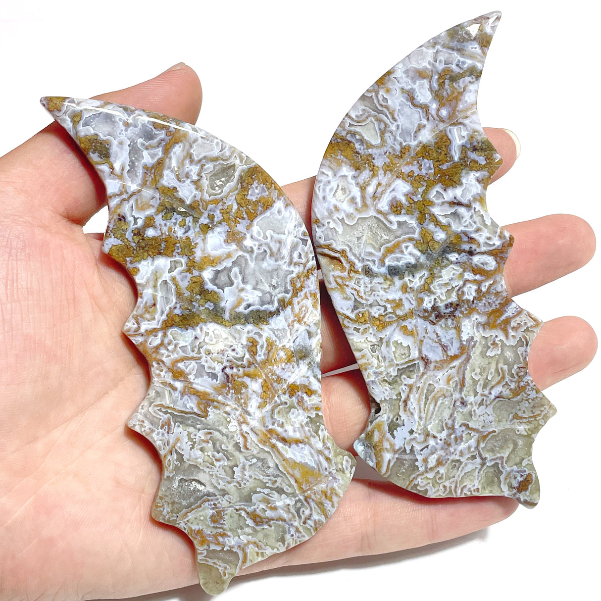 6 Pairs Ocean Jasper Flying Dragon Wing With Stand