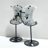 5 Pieces India Moonstone Moon Carving With Stand
