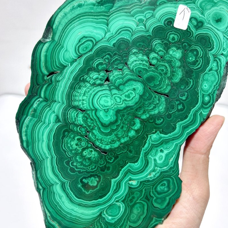 Beautiful Large Polished Malachite Raw Slab Butterfly Wing With Stand (#6) - Wholesale Crystals