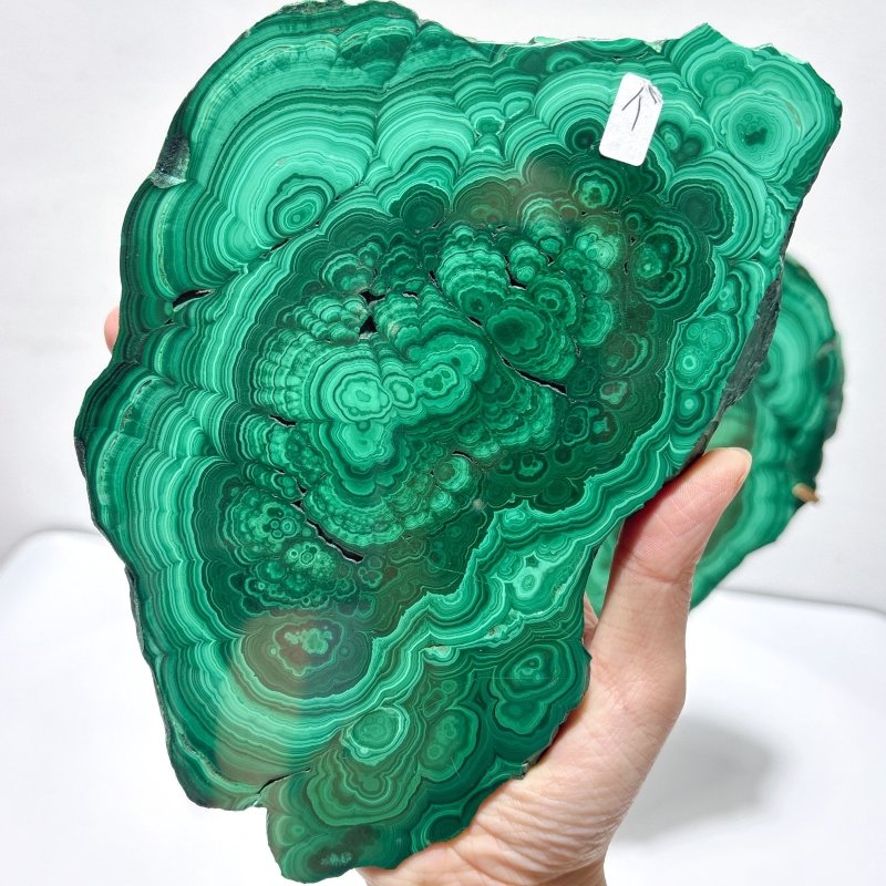 Beautiful Large Polished Malachite Raw Slab Butterfly Wing With Stand (#6) - Wholesale Crystals