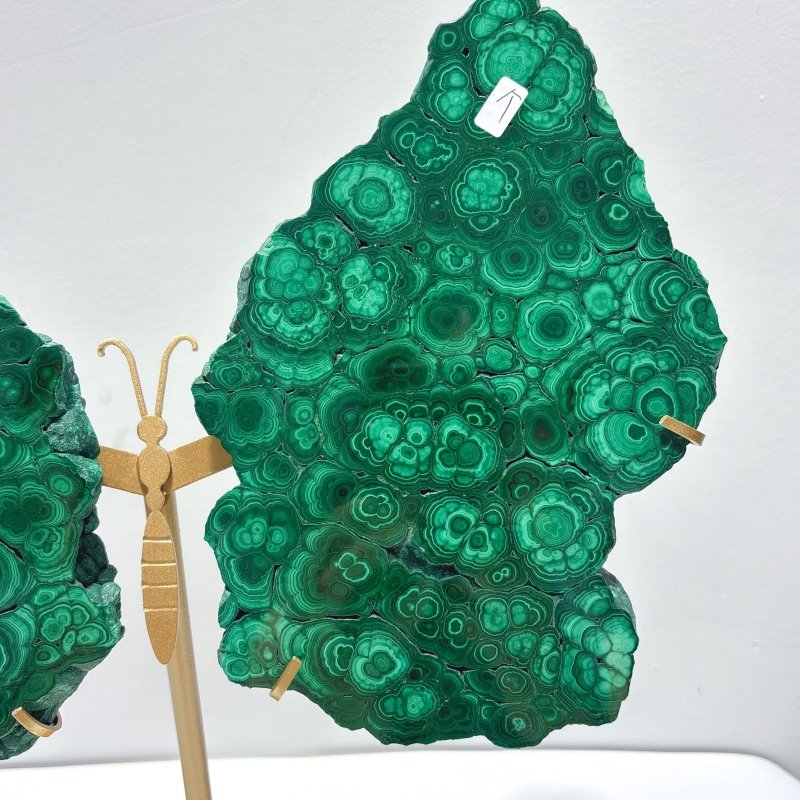 Beautiful Large Polished Malachite Raw Slab Butterfly Wing With Stand (#7) - Wholesale Crystals