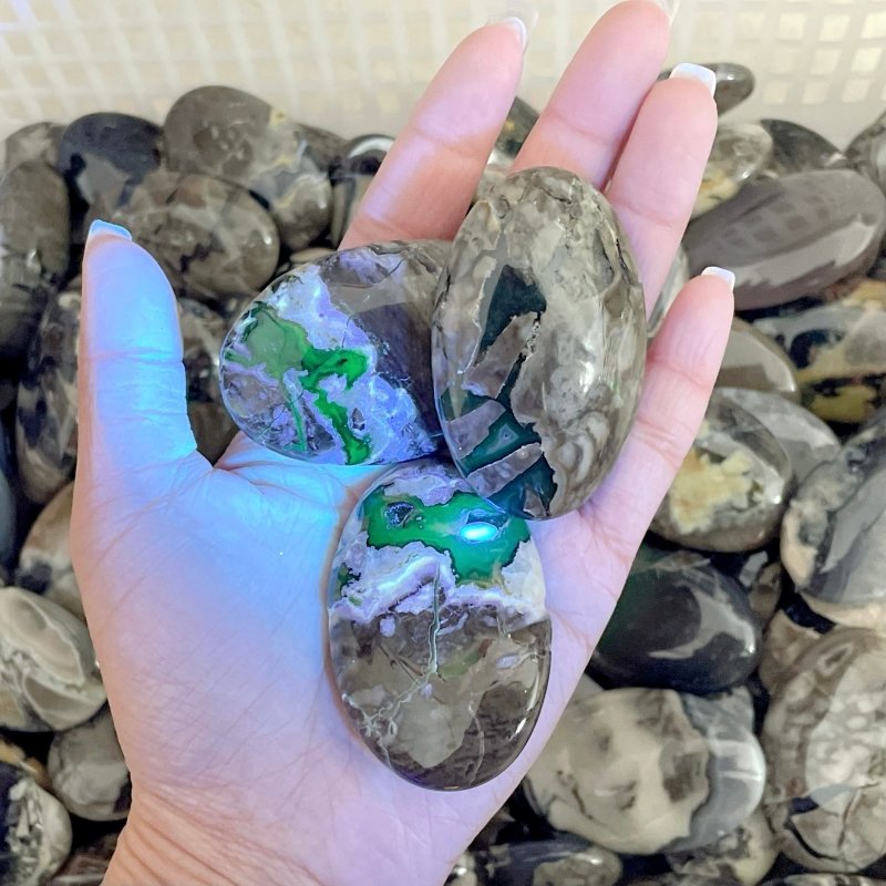 Beautiful Volcano Agate Palm Wholesale(UV - Reactive) - Wholesale Crystals