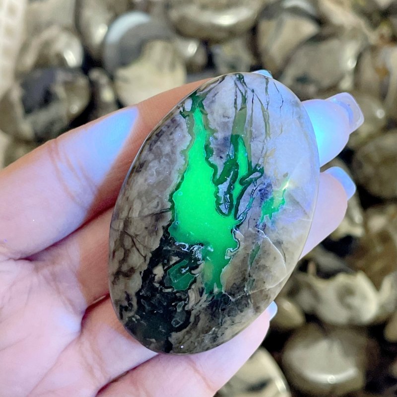 Beautiful Volcano Agate Palm Wholesale(UV - Reactive) - Wholesale Crystals