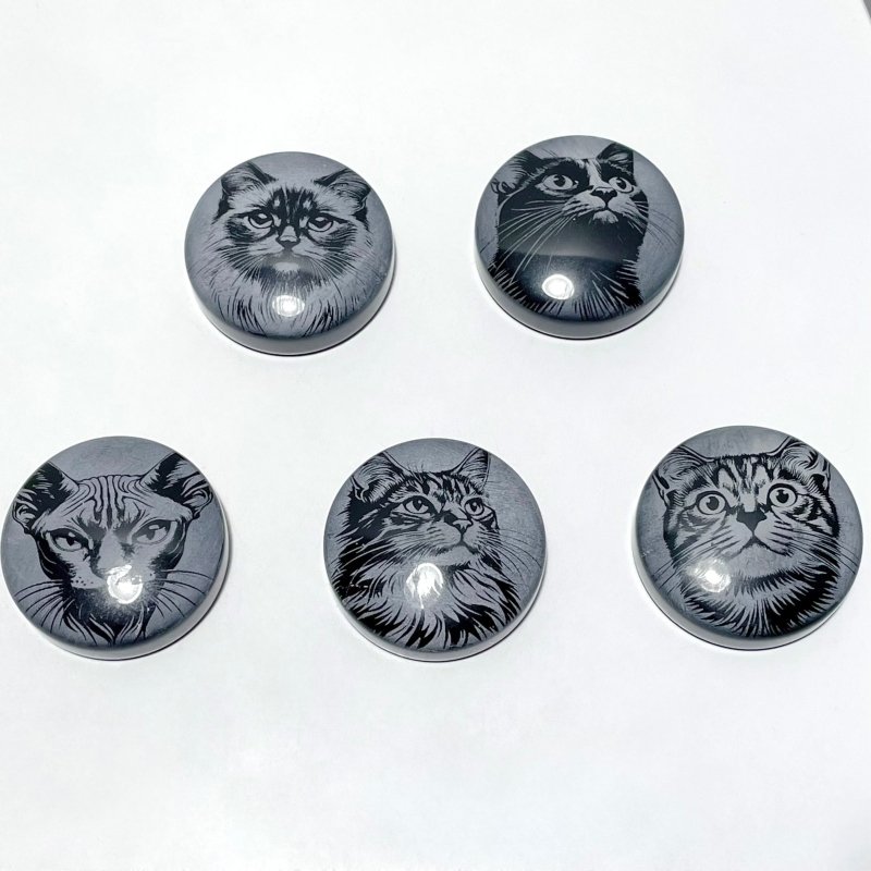 Black Obsidian Engraved Cat Round Slices DIY Accessories Wholesale - Wholesale Crystals