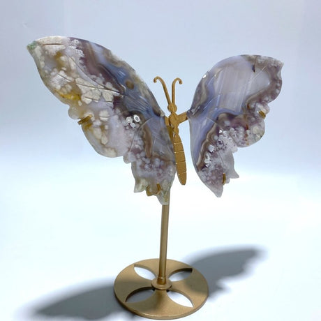 Black Sakura Flower Agate Butterfly Wing Carving With Stand - Wholesale Crystals